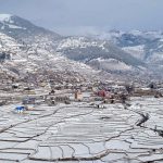 हिमपातले कृषक खुशी, व्यापारी चिन्तित