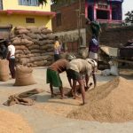 खाद्य संस्थानसँग तीन लाख ३० हजार क्विन्टल खाद्यान्न मौज्दात