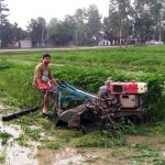 पर्याप्त बर्षा नभएपछि बाँकेमा ६० प्रतिशत मात्र रोपाइँ, उत्पादन घट्ने अनुमान