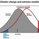 Heat Waves Took A Deadly Toll This Summer