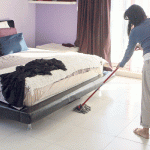 Domestic work: pay not bad, but awaits respect from society