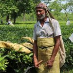 चिया मजदुरको गुनासो, ‘सरकारले बुझेन हाम्रो बाध्यता’ (फोटोफिचरसहित)