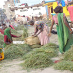 सीमान्तकृत घसियारा र राजी समस्यामा