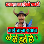 गाउँलेको गाईजात्रा ‘के–के हुने हो ?’ (भिडियोसहित)