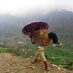 Basket being used to take patients to hospital in lack of ambulance service