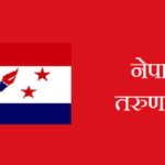 राष्ट्रपतिलाई महाअभियोग, प्रधानमन्त्रीलाई अविश्वास प्रस्तावबाट हटाऔं: तरूण दल