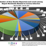 कोरोनाका कारण विदेशमा थप नौ नेपालीको निधन
