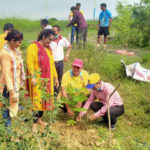 नदी नियन्त्रणका लागि राप्ती छेउमा रोपिए ६६ हजार बिरुवा