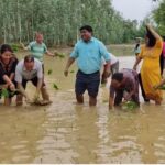 खजुरामा पन्चे बाजासहित रोपाइँ गरियो