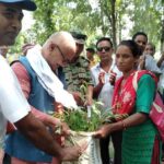 डिभिजन वन कार्यालय बाँकेले बाँड्यो निःशुल्क विरुवा