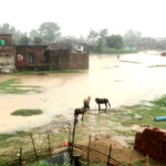 बाँकेमा सबैभन्दा धेरै वर्षा