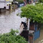 वर्षाका कारण नेपालगन्ज आसपास क्षेत्र जलमग्न, उम्मेदवारी दर्ता प्रभावित