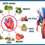 यी १४ खानेकुराहरू खानुहोस्, मुटु स्वस्थ राख्नुहोस्