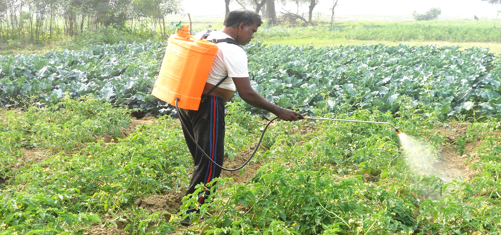 विषादीले जनस्वास्थ्य संकट