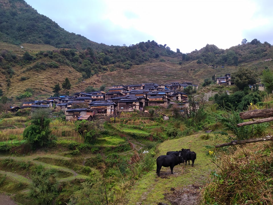 गाउँमा सडक पुग्यो, मासिए सम्पदा