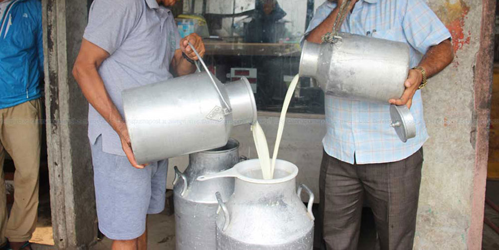 भुक्तानी नपाएपछि दूध उत्पादक किसान निरुत्साहित
