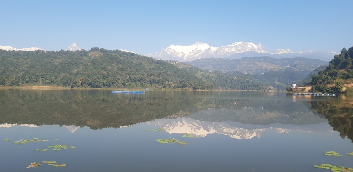 रुपातालका पाहुना चरालाई वार्षिक ५० लाखको माछा