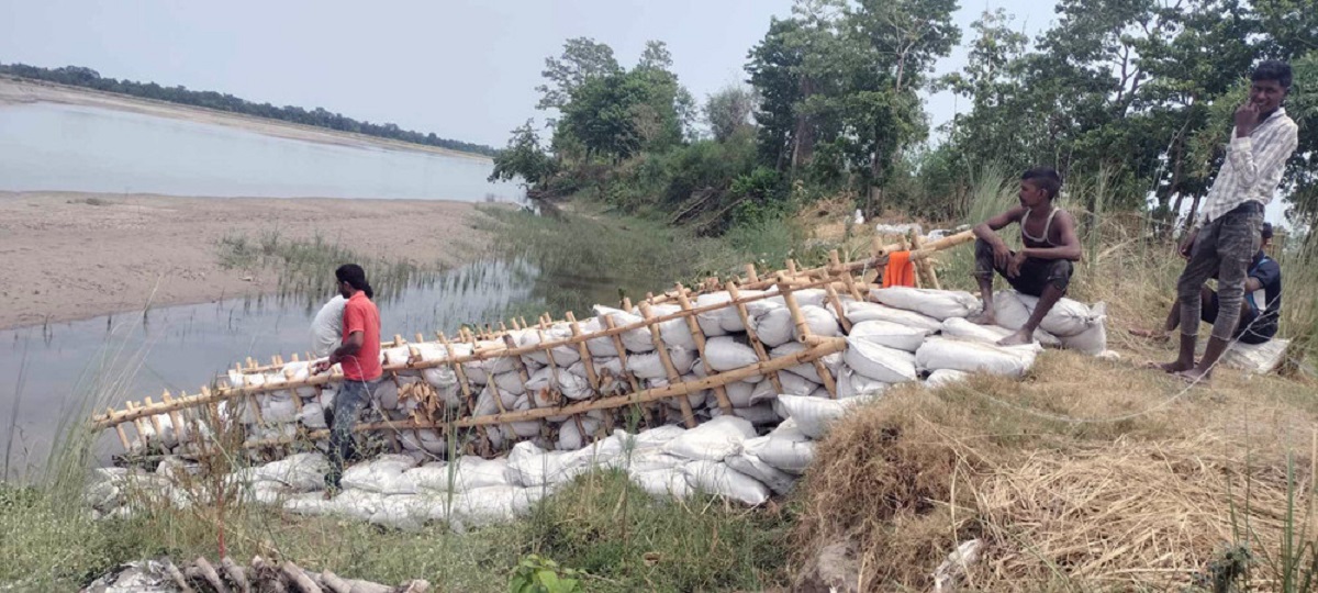 महाकालीको कटान रोक्न जैविक तटबन्ध