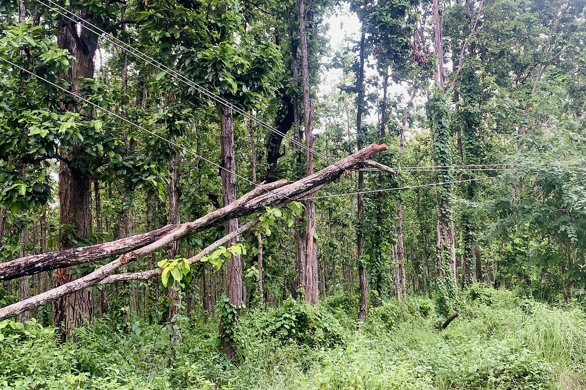 आधा घट्यो विद्युत चुहावट, हरेक वर्ष १२ अर्ब थप आम्दानी