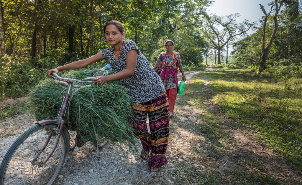 नेपालका हजारौं सामुदायिक वन अस्तित्वकै संकटमा