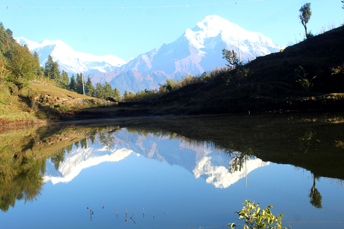 आकर्षक बराहमा विम्ब