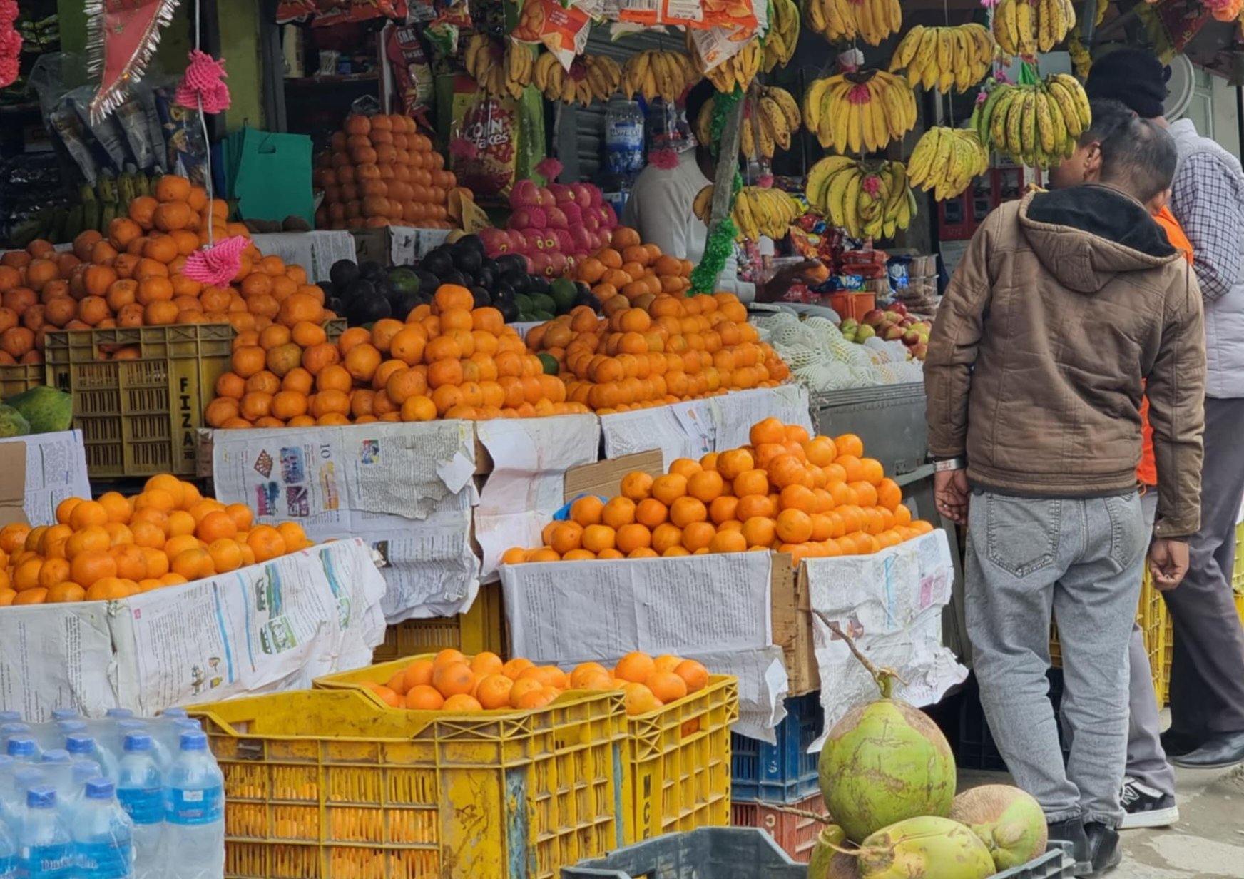 सुन्तलाको मूल्य वृद्धि हुँदा किसान उत्साहित