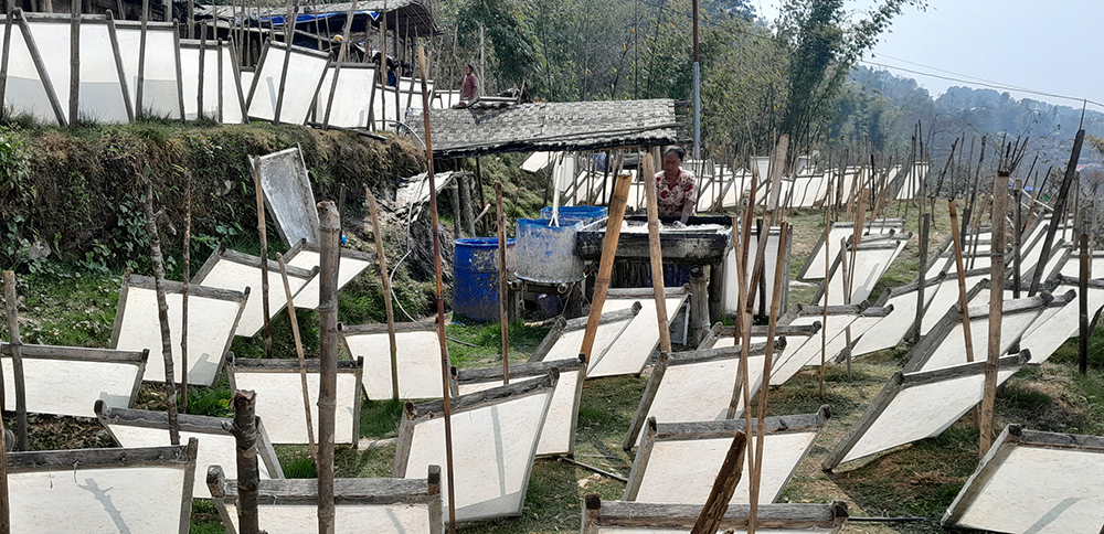 उत्पादनको बजार छ, कच्चा पदार्थ छैन