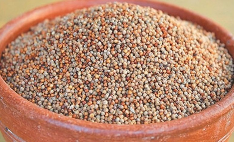 १० महिनामा ६४ करोड रुपैयाँ बढीको कोदो आयात