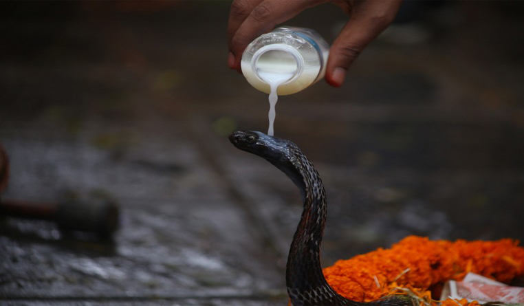 नाग पञ्चमीको धार्मिक, साँस्कृतिक र पर्यावरणीय महत्त्व