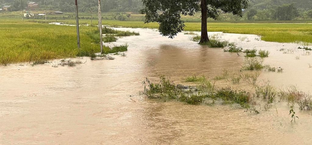 पूर्व सूचनाले घटायो बर्दियामा विपद्को क्षति