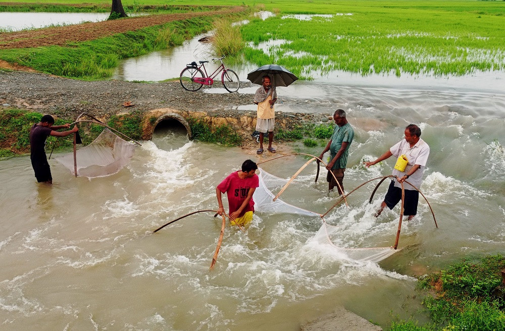 जाल थापेर माछा मार्दै स्थानीय
