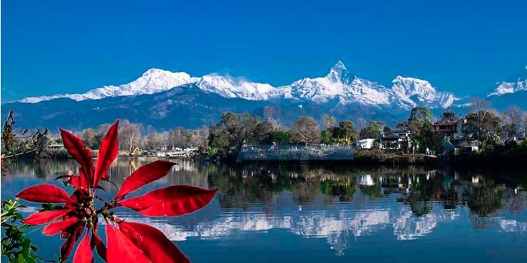 फेवातालमा कार खस्दा चालकको मृत्यु