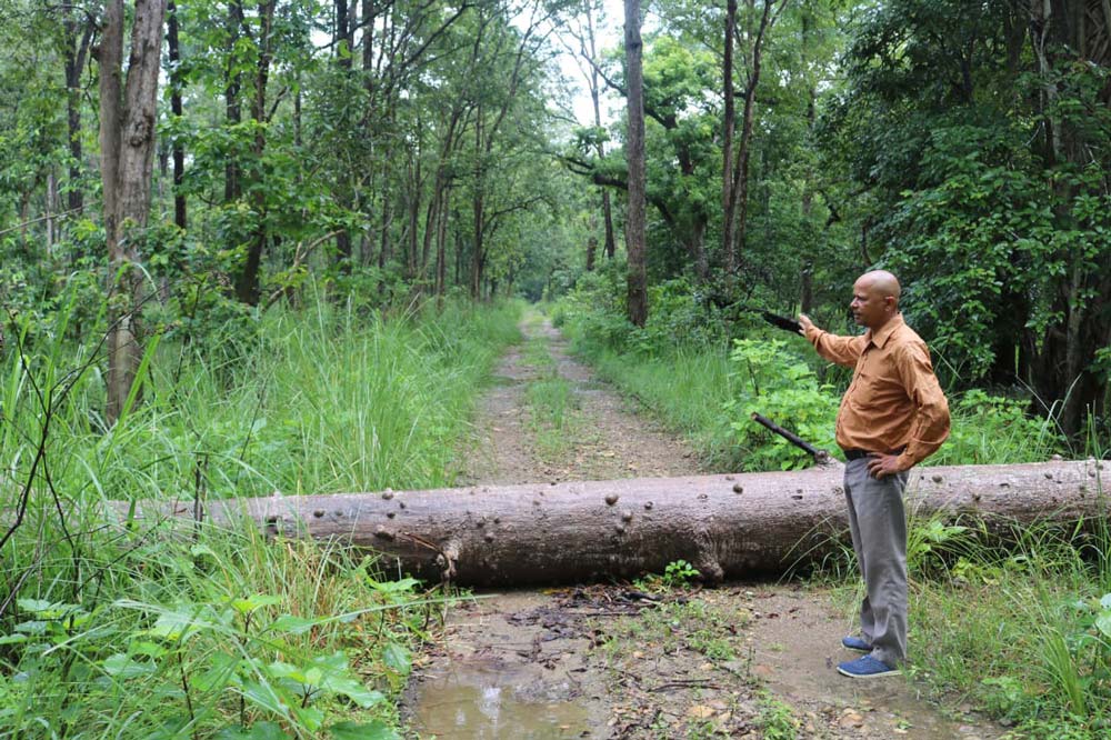 चुनावी मुद्दा बनेको आम्बासा-तेलपानी सडक अझै अधुरै