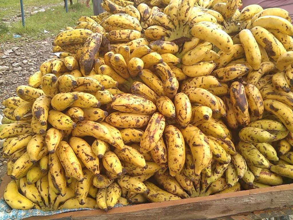 बजारमा केरा अभाव, अवैध आयात रोकिएपछि मूल्य वृद्धि