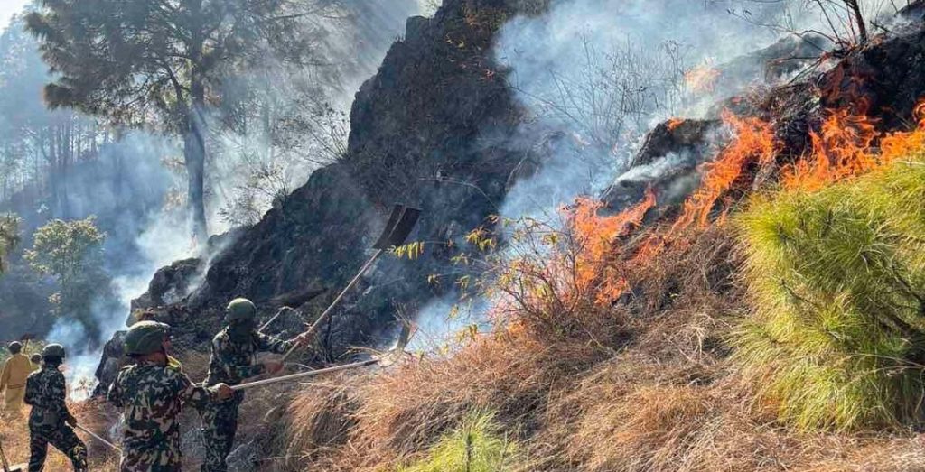 मनसुन पूर्वको वर्षाले घटायो वन डढेलो