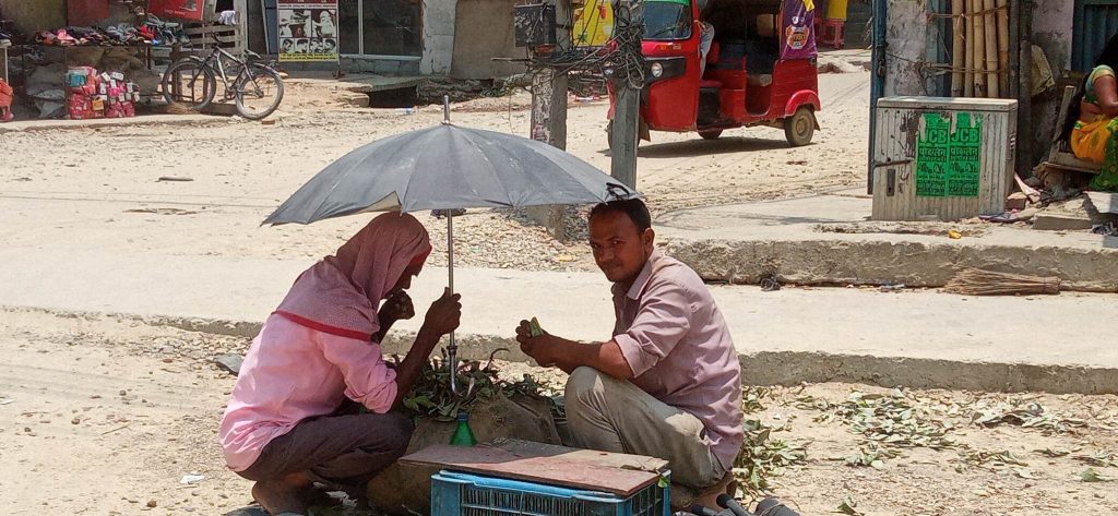 केही स्थानमा वर्षा र हिमपात, तराईमा गर्मी