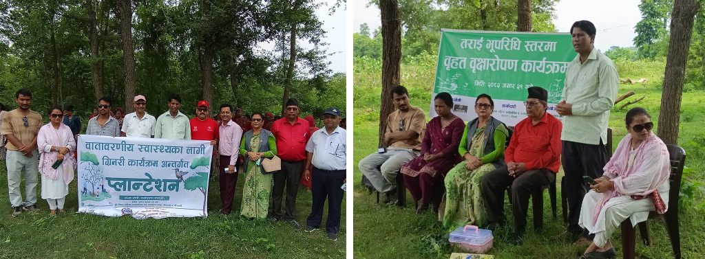 सुदूरपश्चिममा करोडौं खर्चेर लाखौं रोपिए, कत्ति पनि जोगाइएन