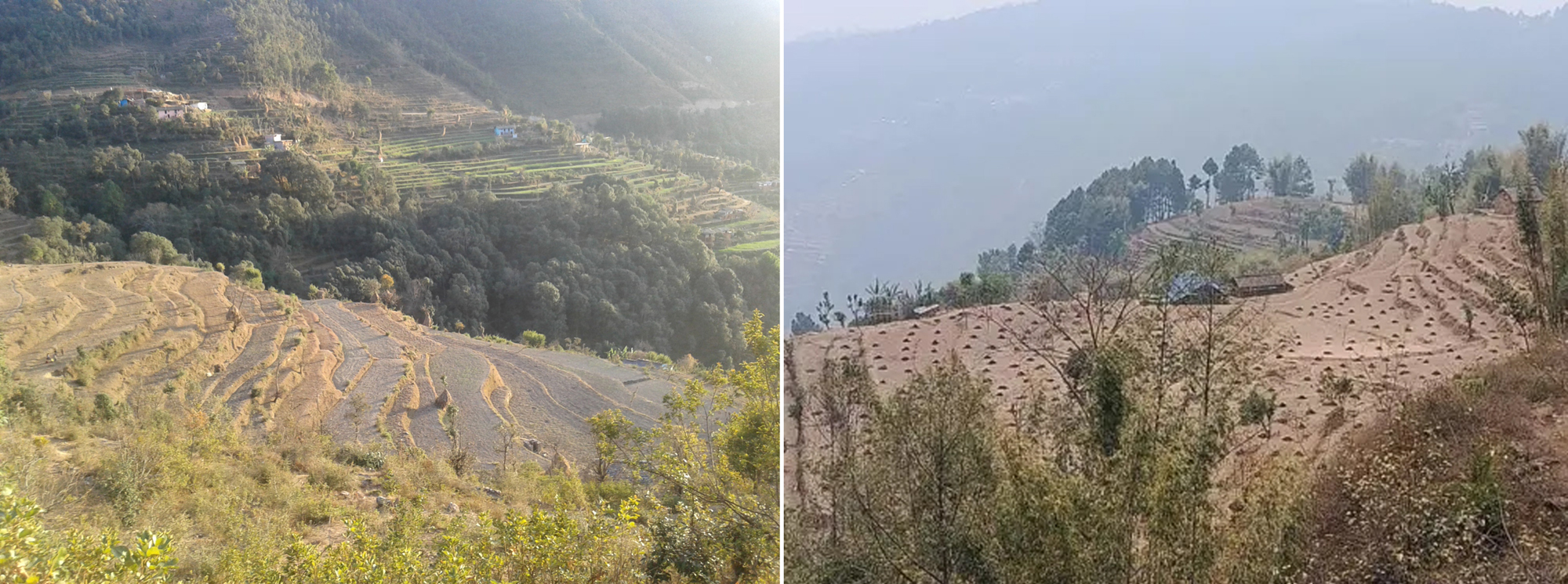 मनसुन नभित्रिँदा सुक्खाको चिन्ता, खडेरीको डर
