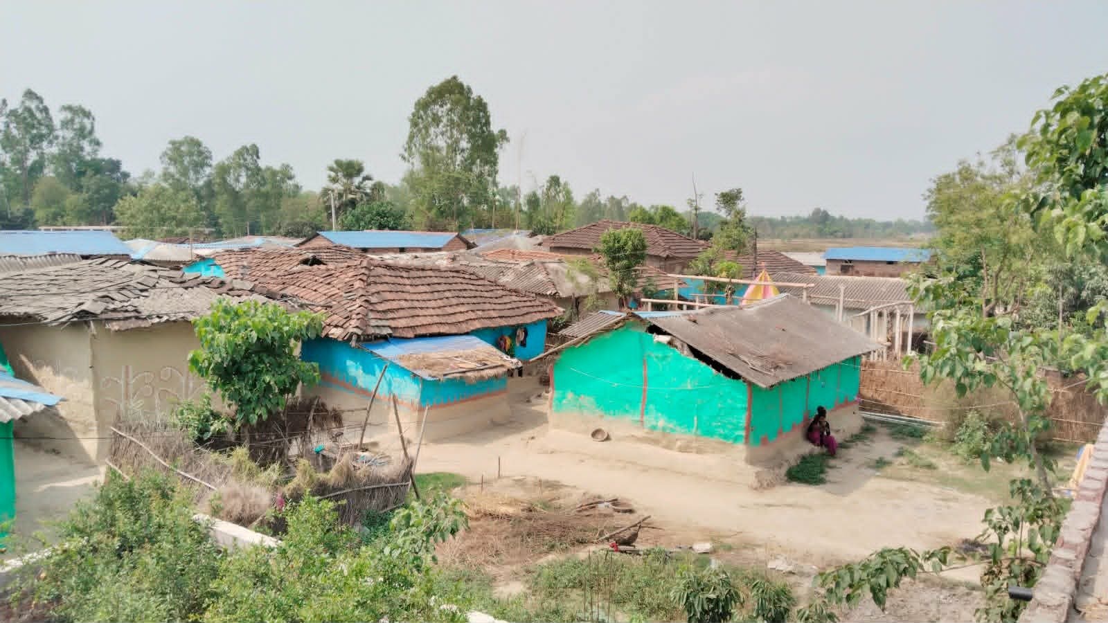दशकअघि खुला दिसामुक्त घोषणा भएको मुसहर बस्ती अझै शौचालयविहीन