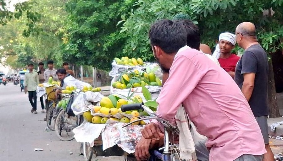 नाकामा कडाई हुँदा पनि नेपालगन्ज कसरी भित्रिन्छ भारतीय आँप ?