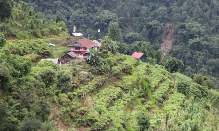 ‘हामीलाई पाल्ने र बचाउने नै अलैँची हो’