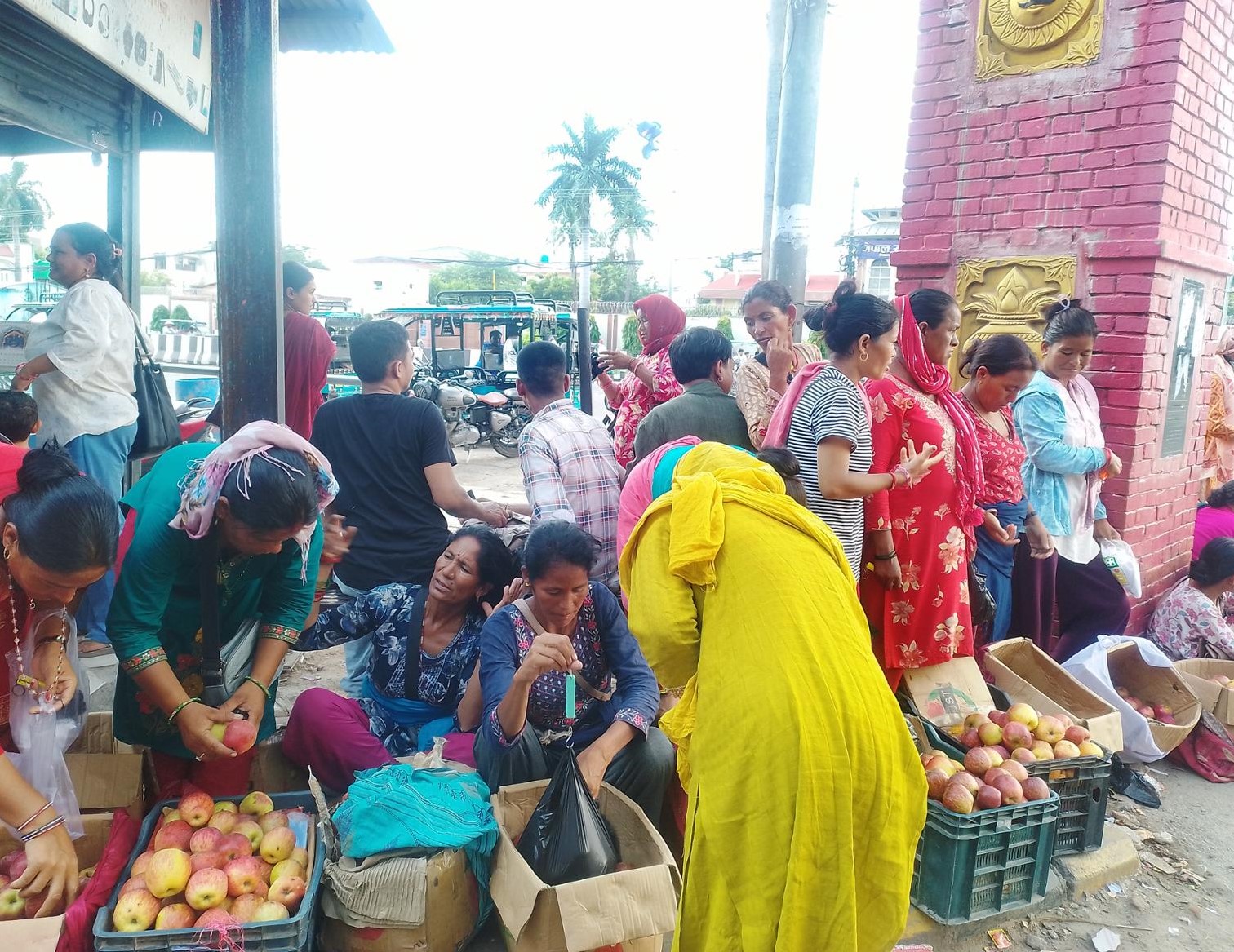 तीजको कोसेली, ‘कर्णालीको स्याउ’
