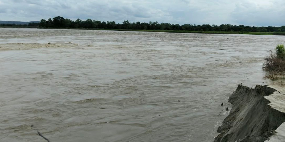 सिमलको रुख बगेपछि सुस्तामा सीमा चिन्ता, इतिहासमै गम्भीर खतरा