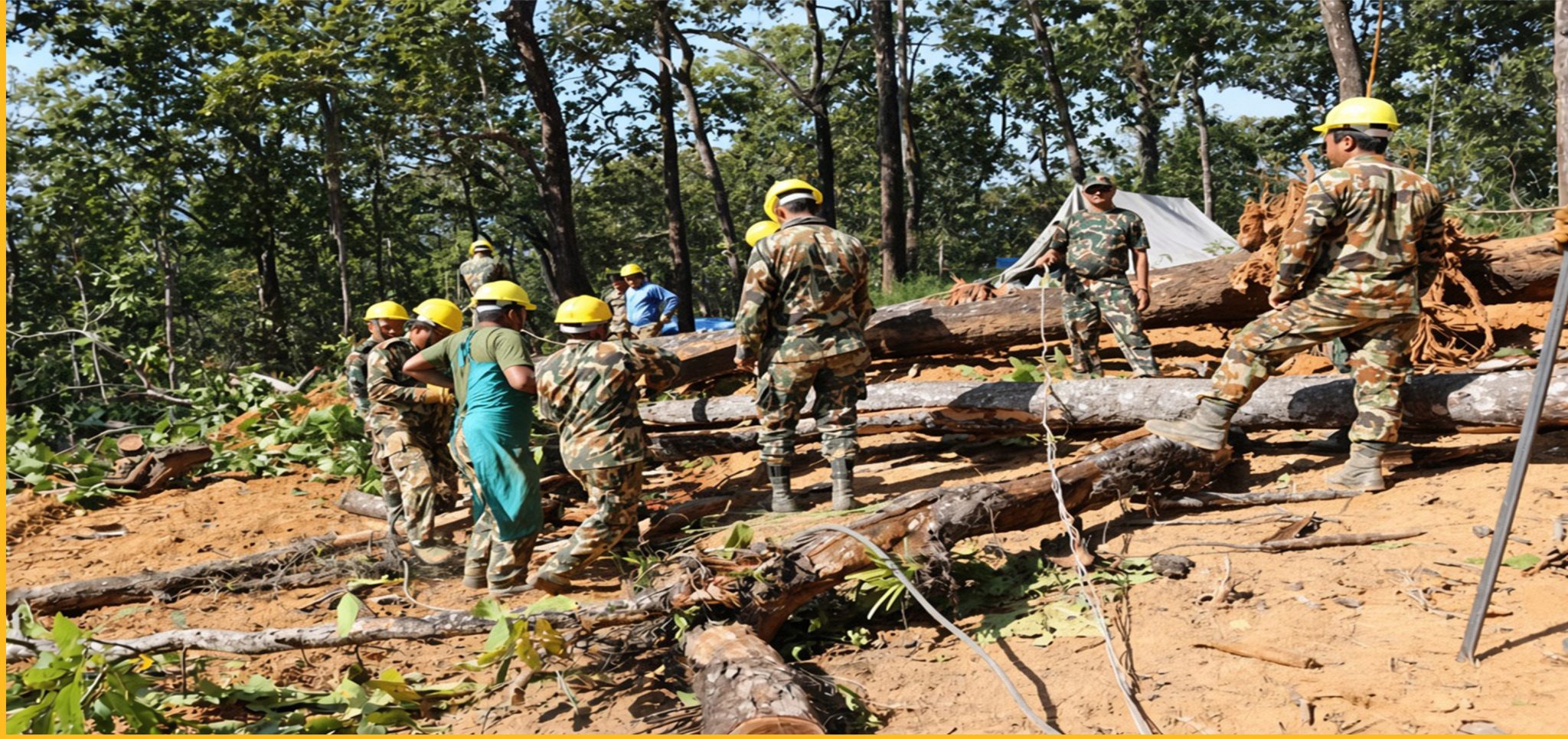 सरकारी आयोजनाले रूख काट्छन्, अर्थ मन्त्रालयले तिर्दैन क्षतिपूर्ति