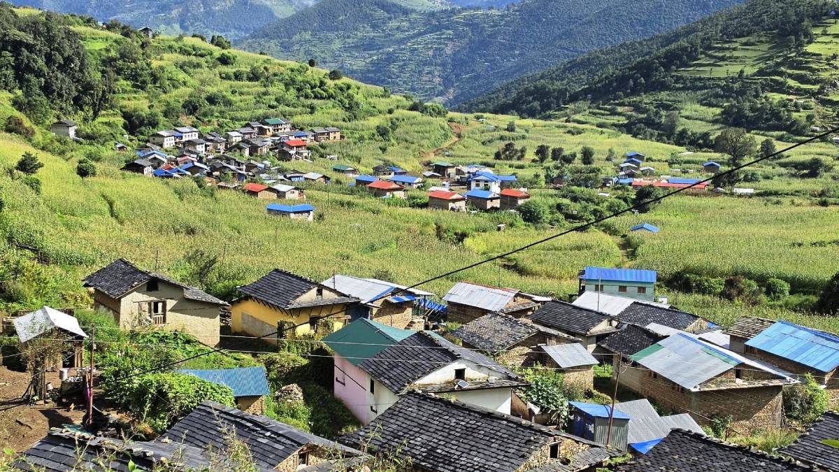 एक वर्षमै जडिबुटीबाट जाजरकोटका स्थानीयले कमाए २९ करोड